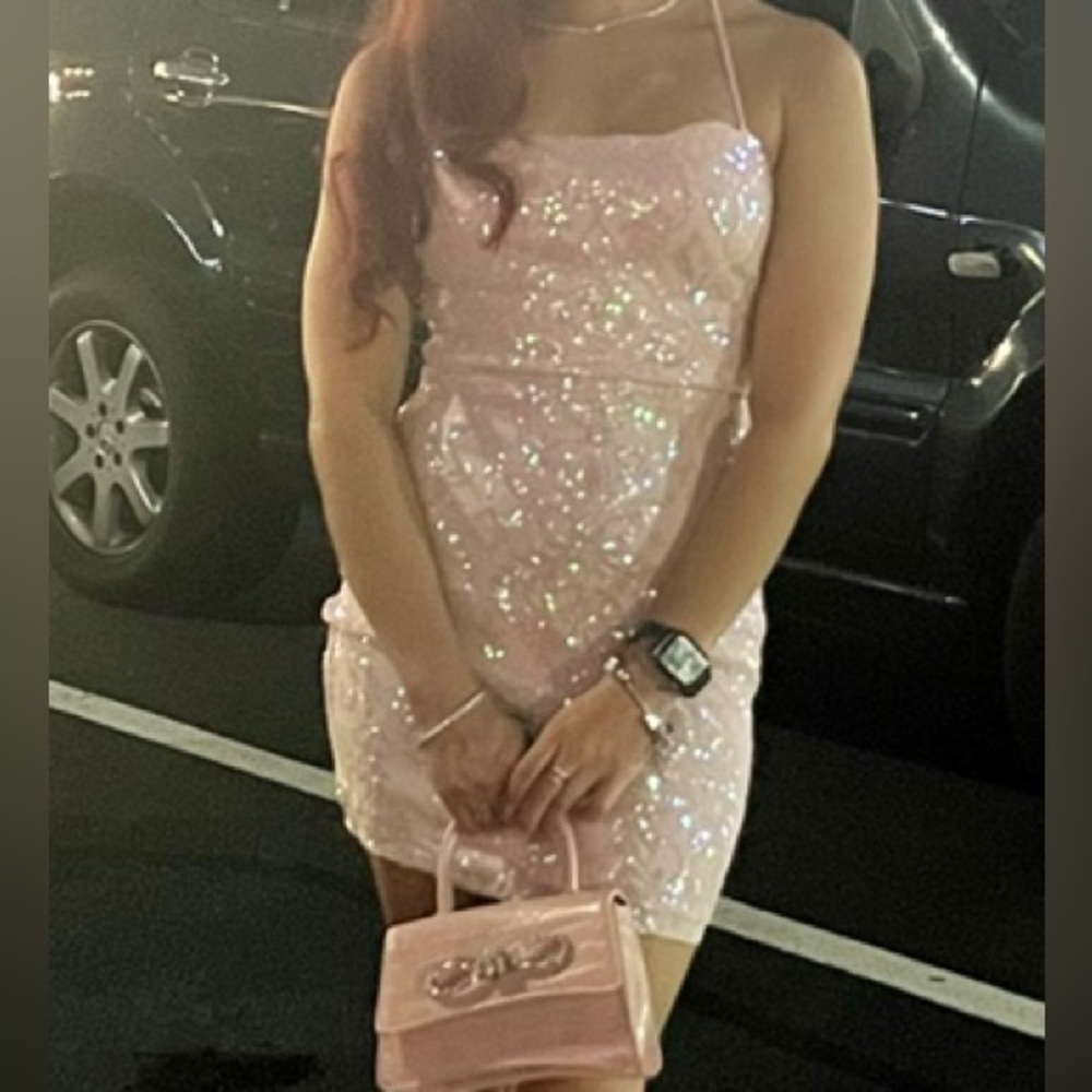 Windsor Blush Sequin Embellished Dress